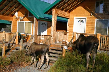 Alaska Salmon Fishing Lodge