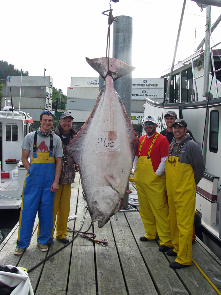 Affordable Halibut Fishing And Lodging Packages