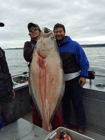 Halibut Charters Seward Alaska