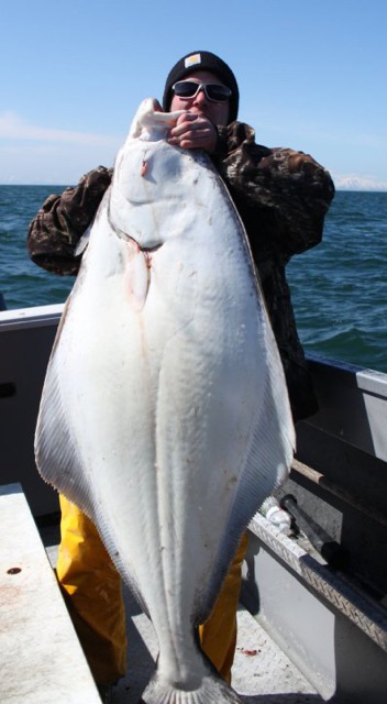 Halibut Fishing Charter Fishing With Alaska Fishing And Lodging