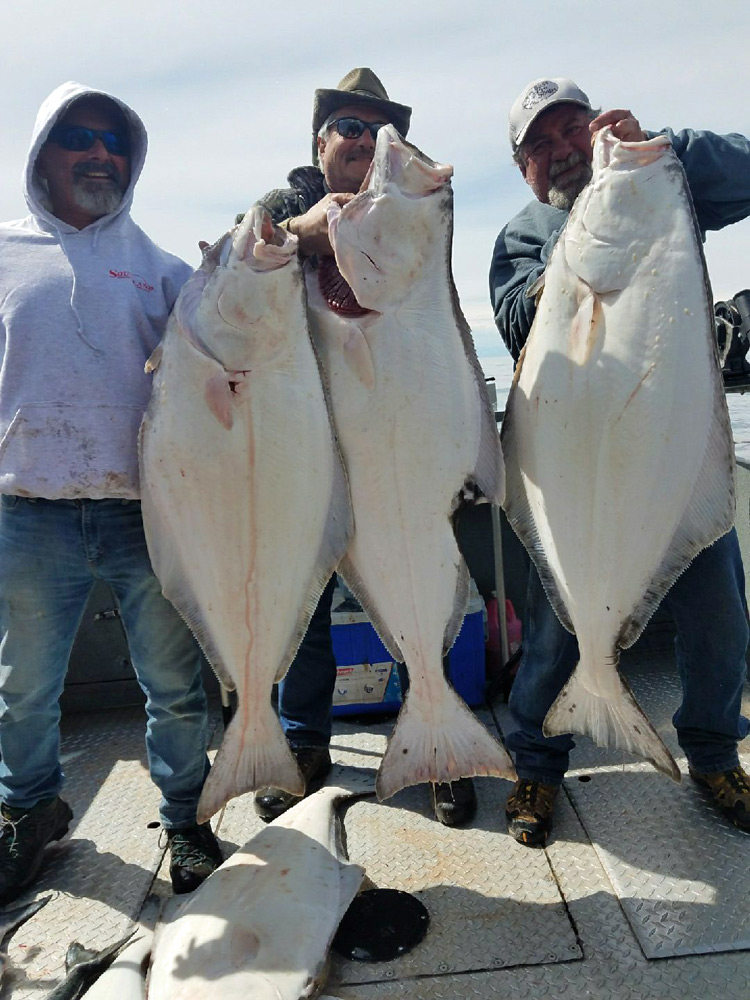 Halibut Fishing Charters With Alaska Fishing And Lodging