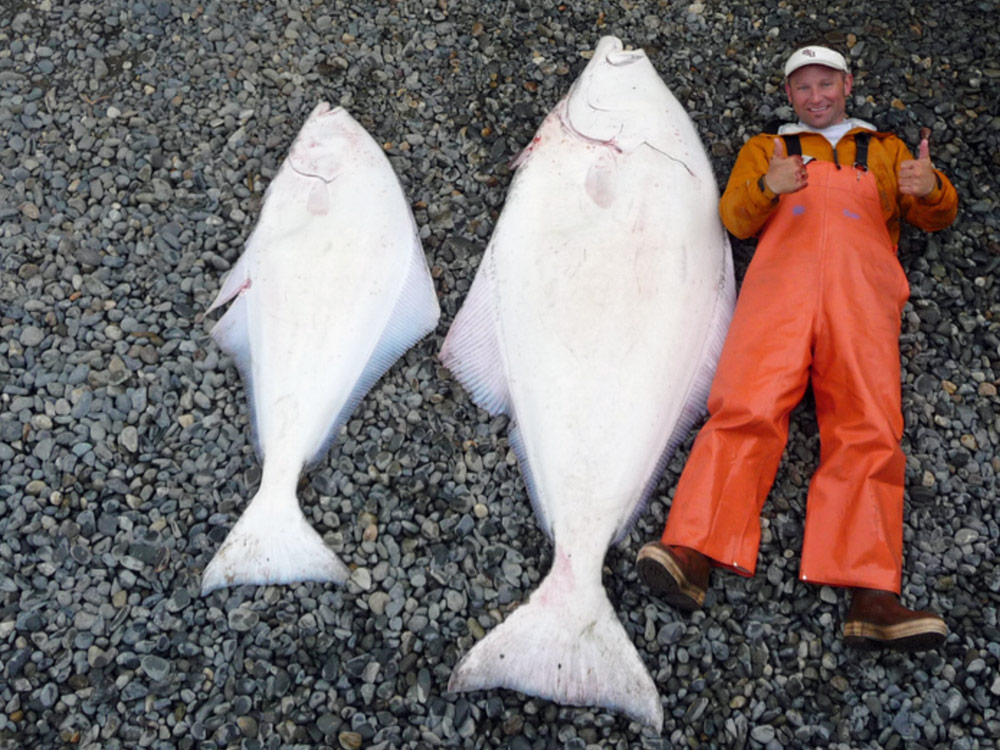 Halibut Fishing Trips Homer Alaksa With Aalska Fishing And Lodging