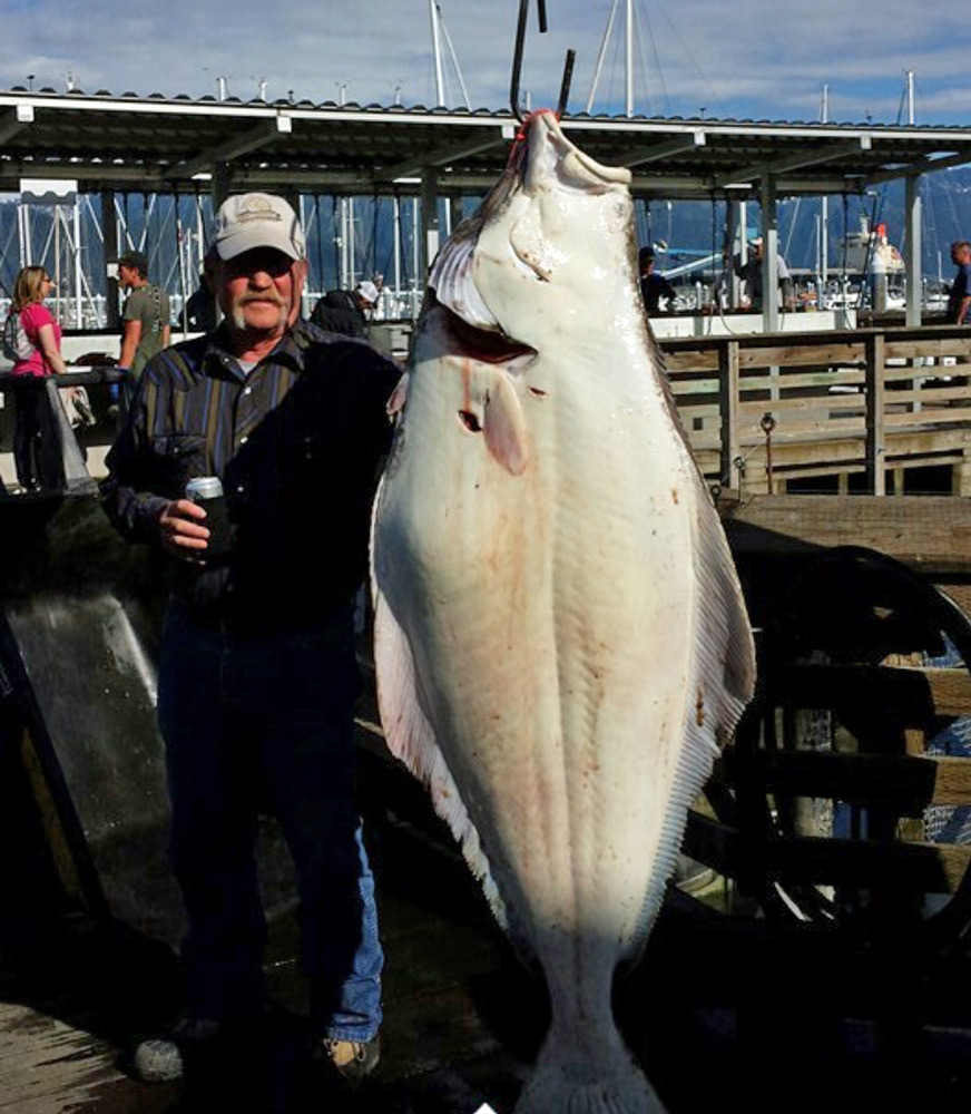 Seward Halibut Fishing Trips And Charters With Alaska Fishing And Lodging