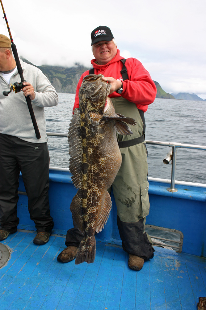 Abu Garicia Alaska Ling Cod Fishing 1000