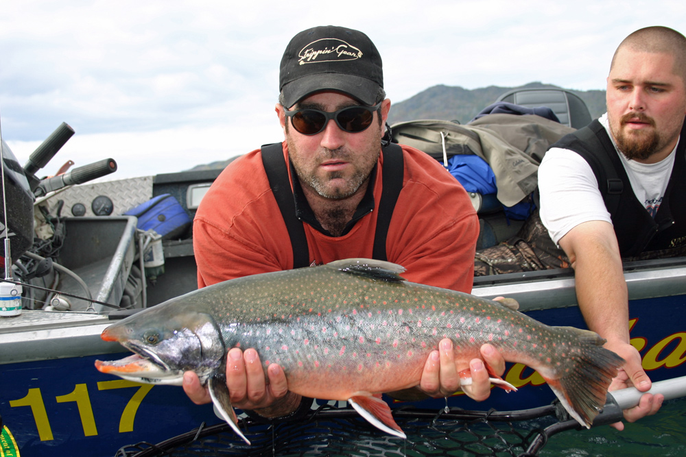 Dolly Varden Released