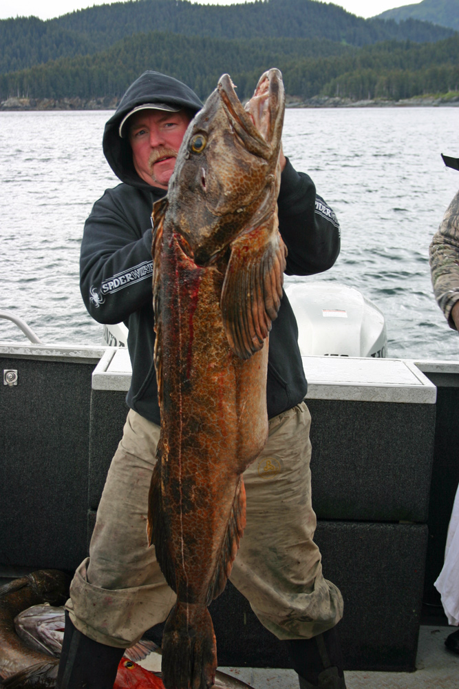 Alaska Fishing Guide Tyland VanLier Ling Cod 1000