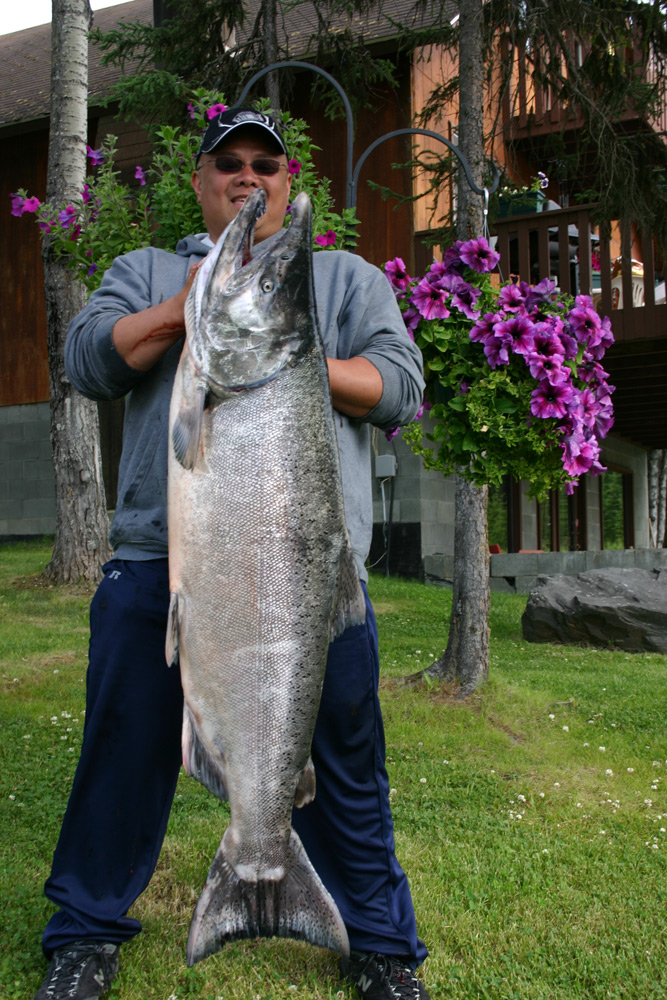 Alaska Fishing And Lodging King Salmon Charters