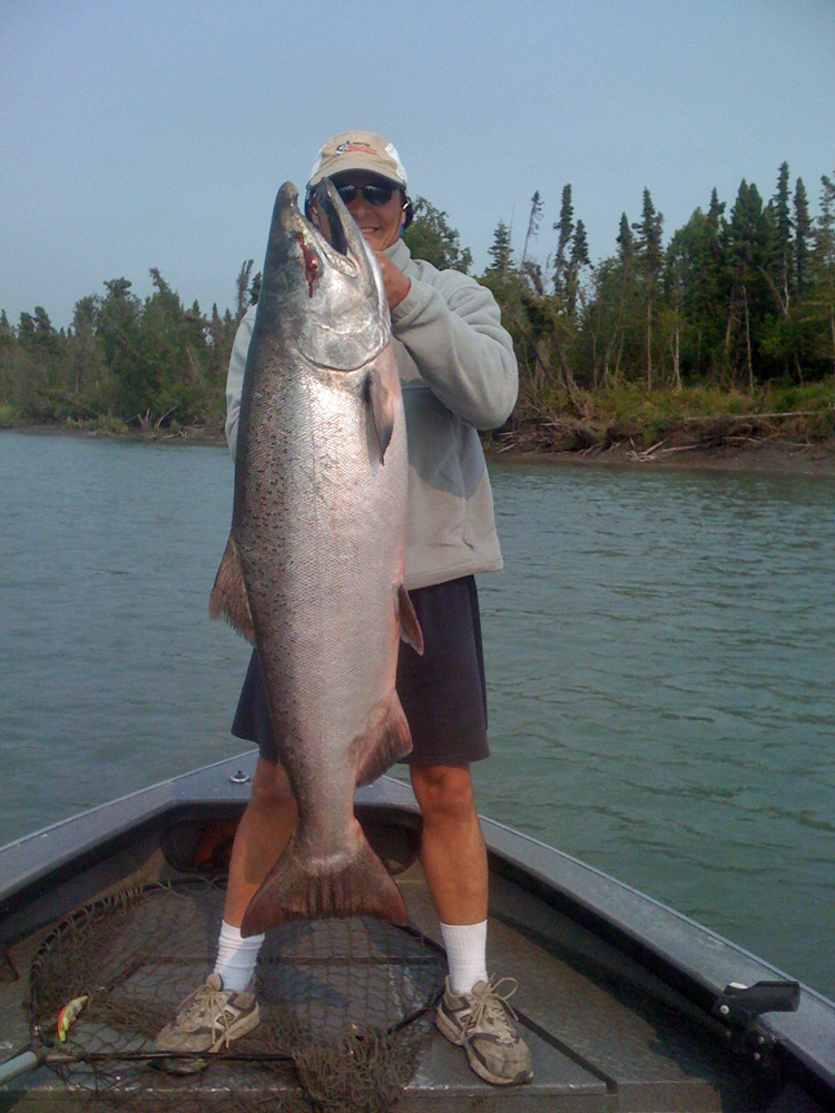 Alaska Guide Mike Patterson With Kenai King Salmon 1000