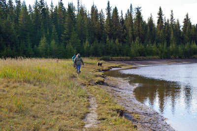 Bears and Fishing