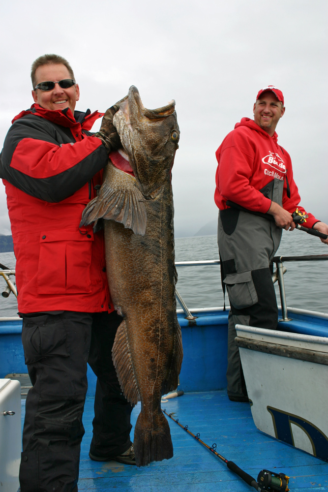 Monster Ling Cod