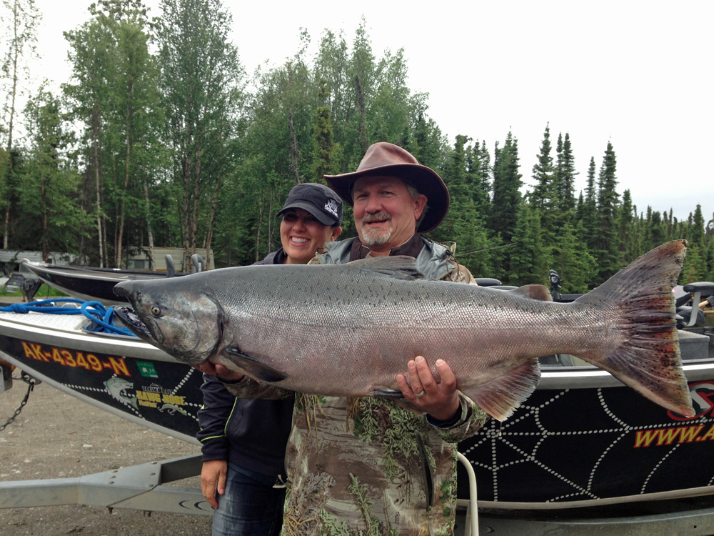 Big Buck King Salmon In Alaska