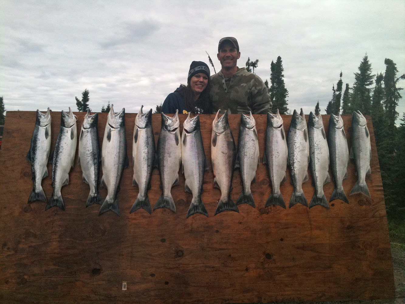 Another board full of Sockeye