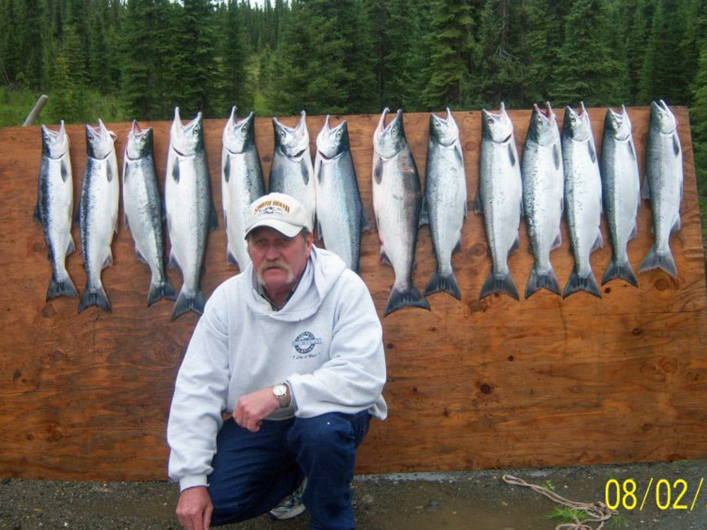 Board Full Of Silvers Kenai River AK 1000