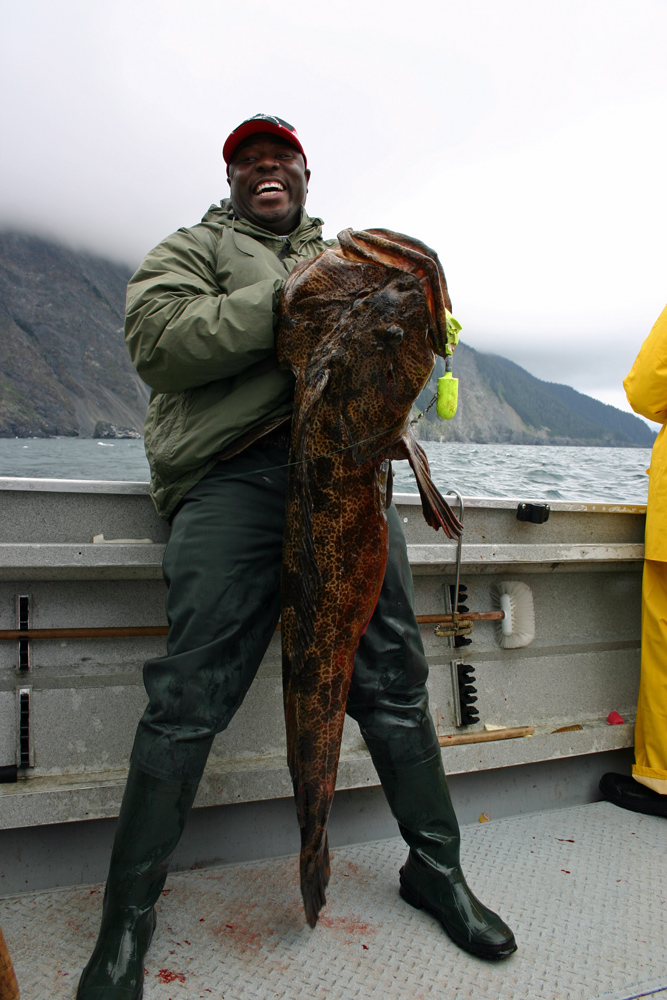 CAtch Huge Ling Cod On Alaska Fishing Charters 1000