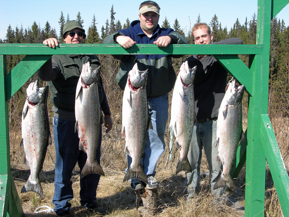 Catch King Salmon With Alaska Fishing And Lodging 1000