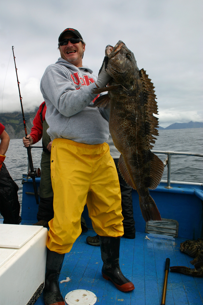 Catch Ling Cod In Alaska On Our Charters 1000 