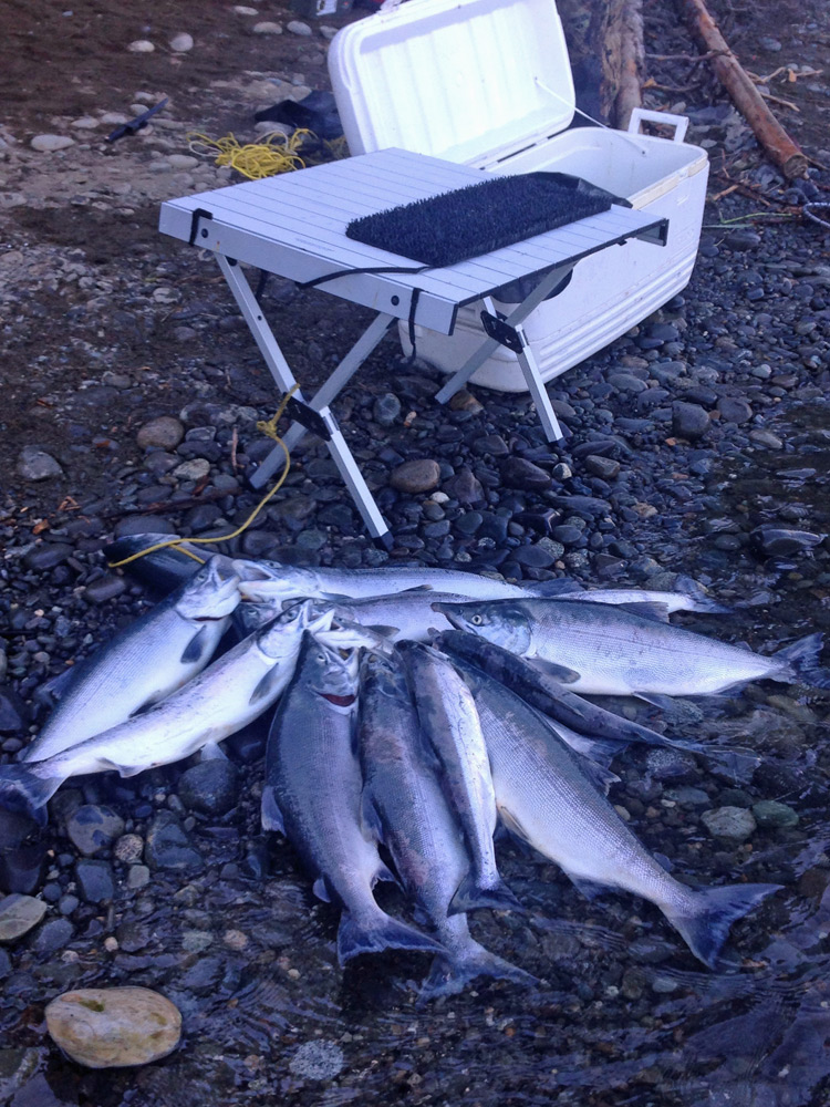 Sockeye good eats