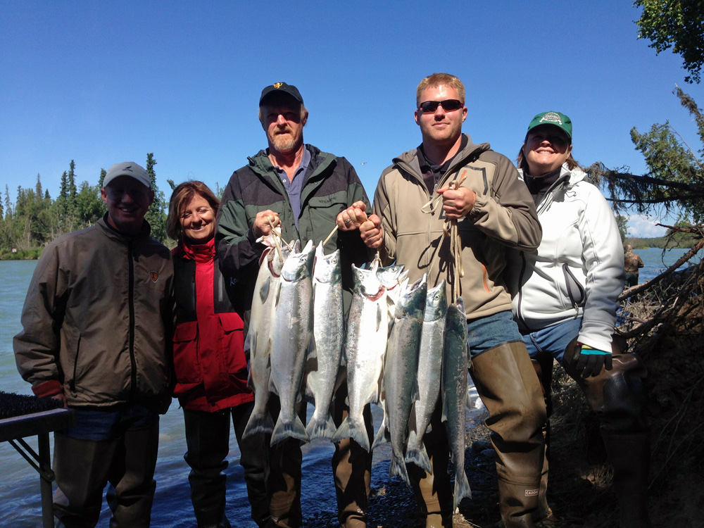 Gang Of Sockeye On Alaska Kenai River 1000