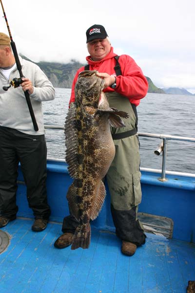 Giant Ling Cod Fishing Caught With Alaska Fishing And Lodging