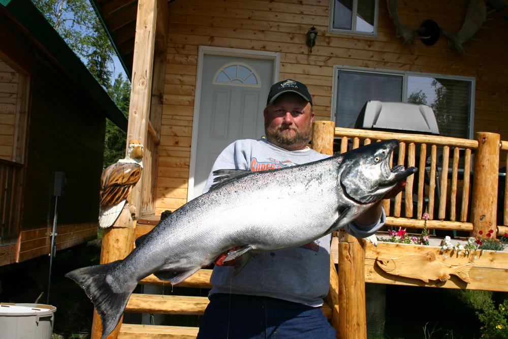 Heavy King Salmon From Kenai River Alaska