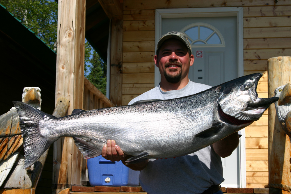 King Salmon Chrome From Alaska 1000