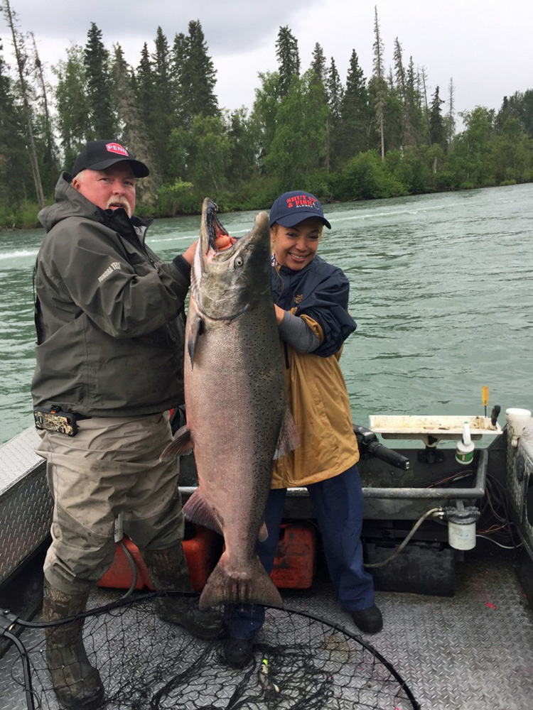 Large Kenai Chinnok Caught