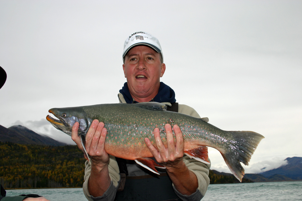 Lunker Alaska Dolly Varden Caught On Kenai River 1000