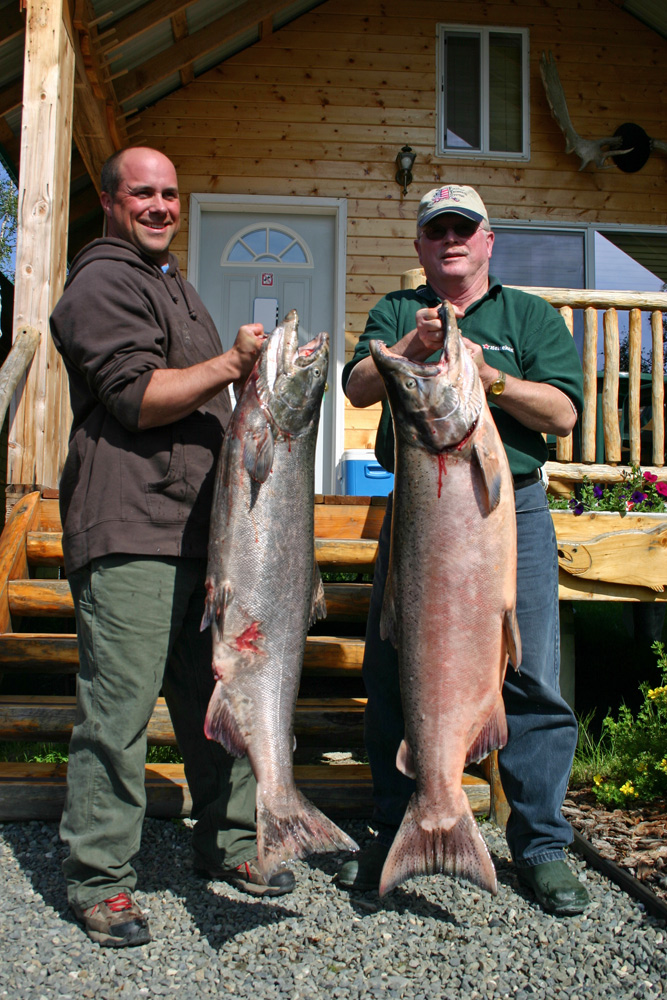 Pair Of Nice Kings In Alaska