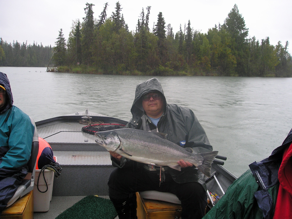 Rainy Day Silver Salmon