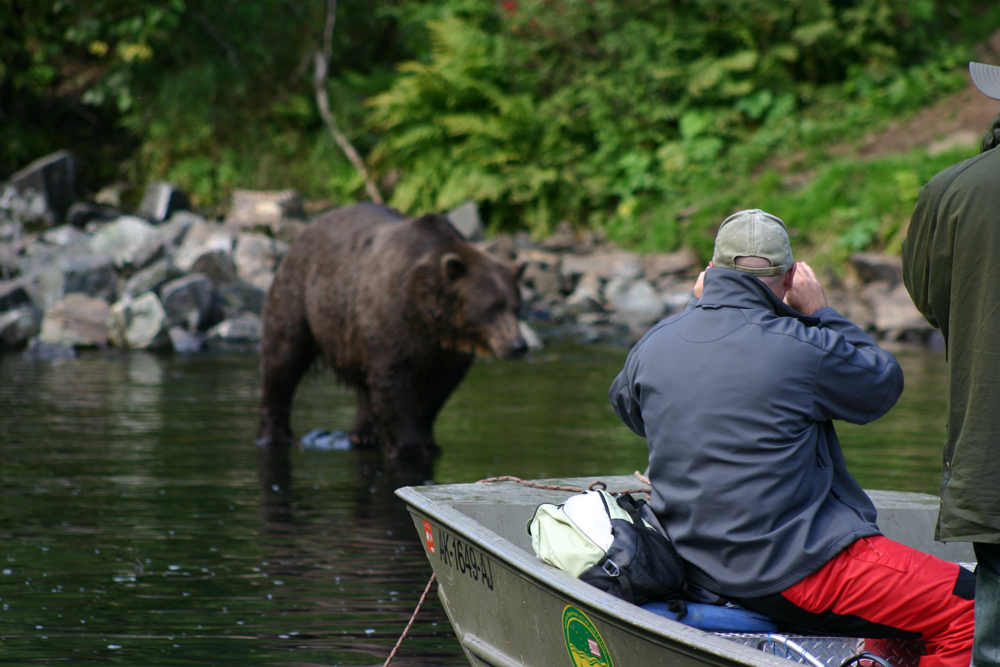 See Alaska Brown Bears By Boat 1000