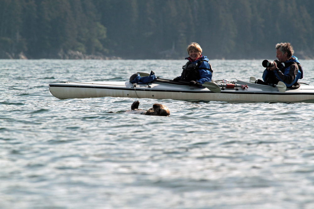 See Alaska Wildlife On Kayak Tours 1000
