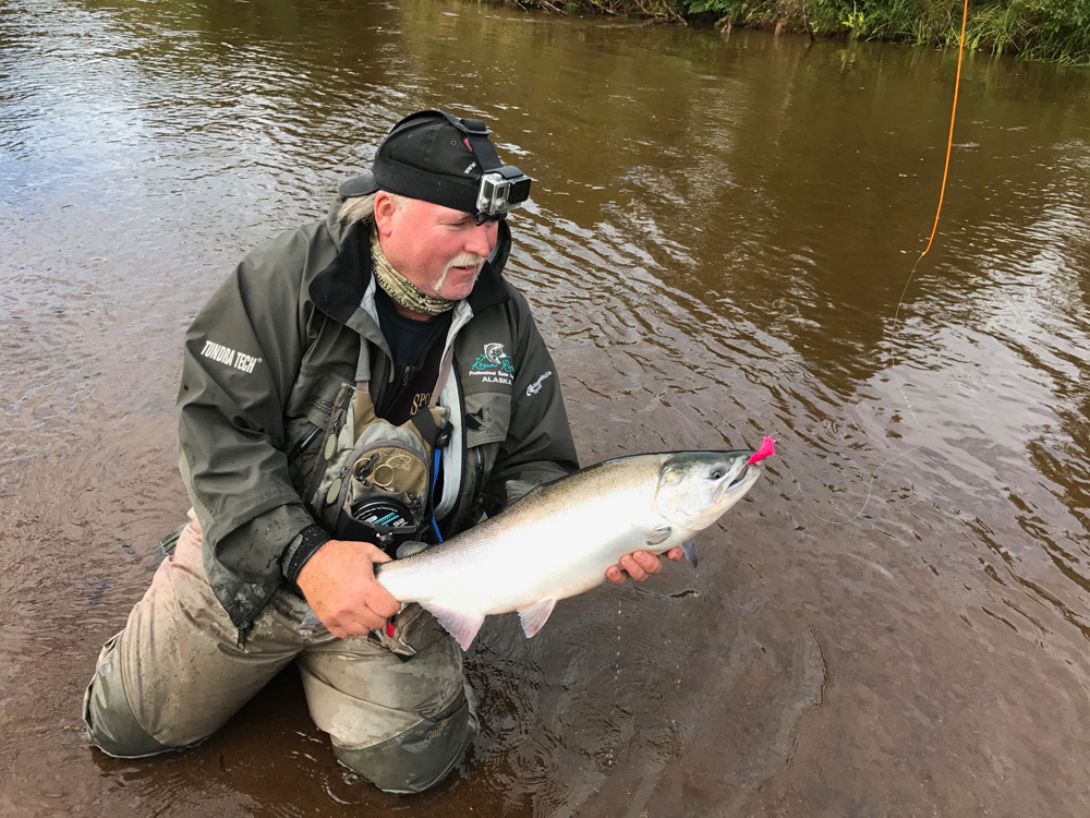 Silver Salmon on a fly