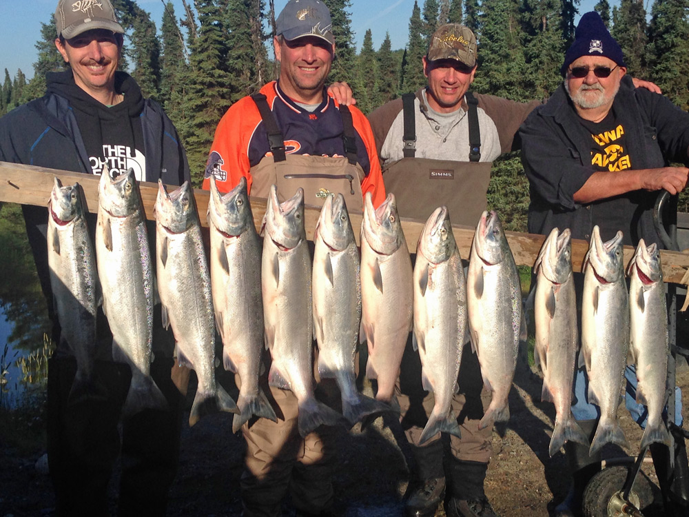 Sockeye limits