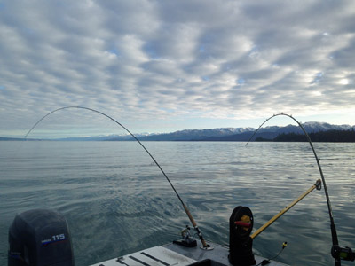 Kenai River Fishing Guides for King Salmon