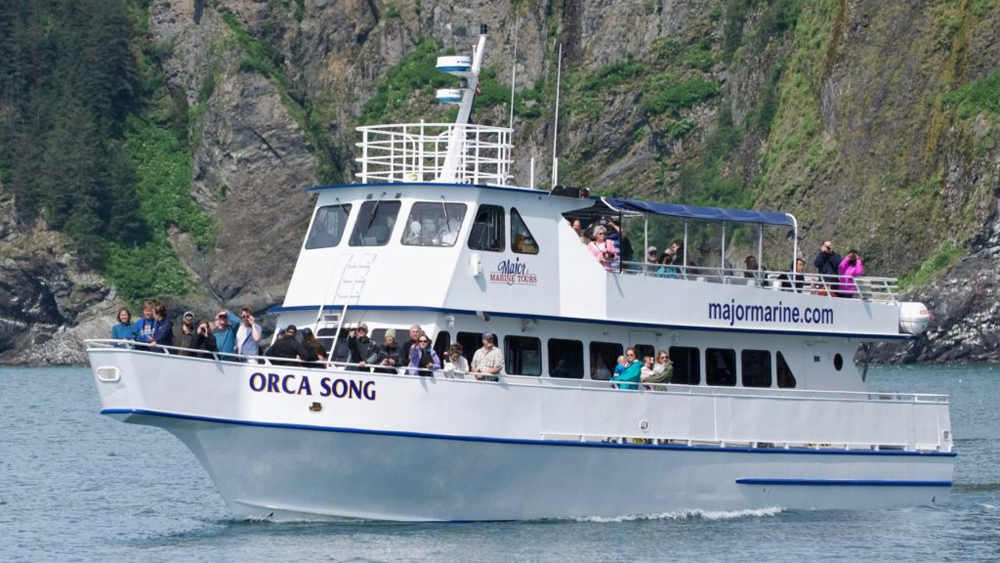 Whale watching tours