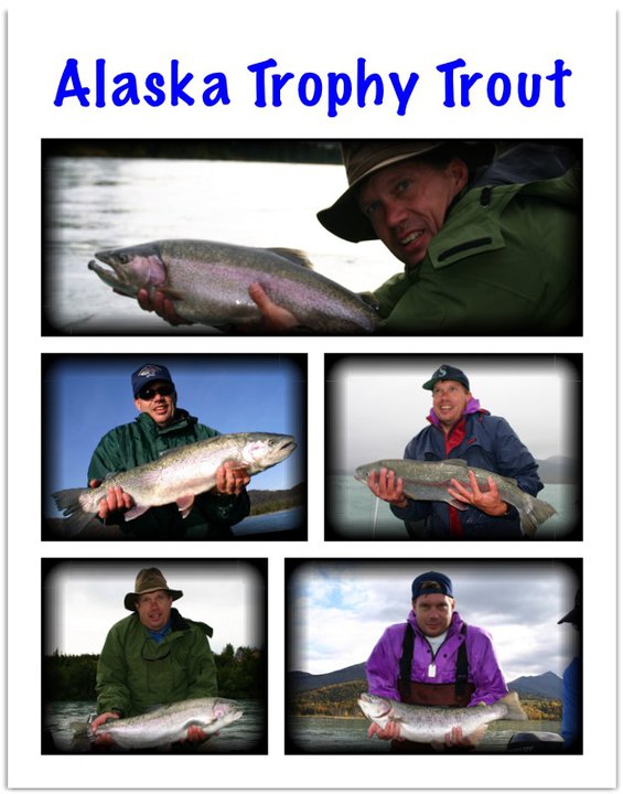 Seals vs Alaska Trophy Rainbow Trout