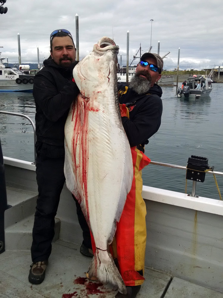 Pacific Halibut Fishing Guide  How to Catch a Pacific Halibut