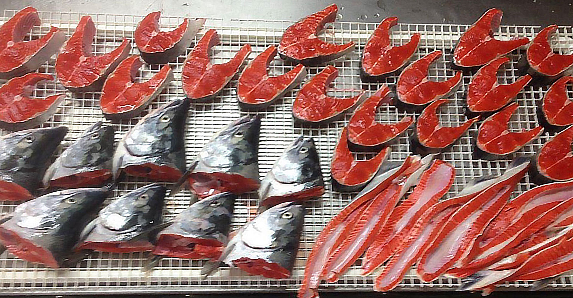 Full Service Fish Processing At Our Fishing Lodge