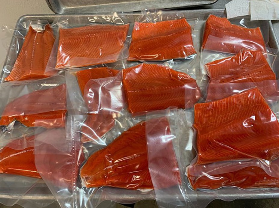 Sealing fish