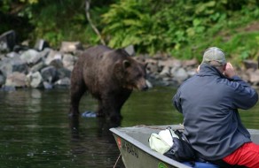 Alaska Bear Viewing and Bear Watching Tours